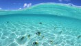 /album/paisajes-hd-wallpapers/a011c20de4-jpg/