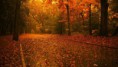 /album/paisajes-hd-wallpapers/a5478f12c-jpg/