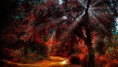 /album/paisajes-hd-wallpapers/ad8819b52-jpg/