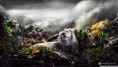 /album/paisajes-hd-wallpapers/jungle-lion-wallpaper-1600x900-jpg1/