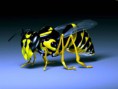 /album/a3d-hd-wallpapers/todofondos3d-com-2107-jpg/